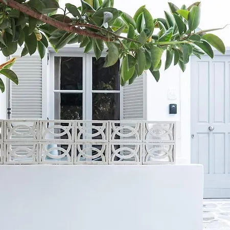 Swell S4 Brand New In *